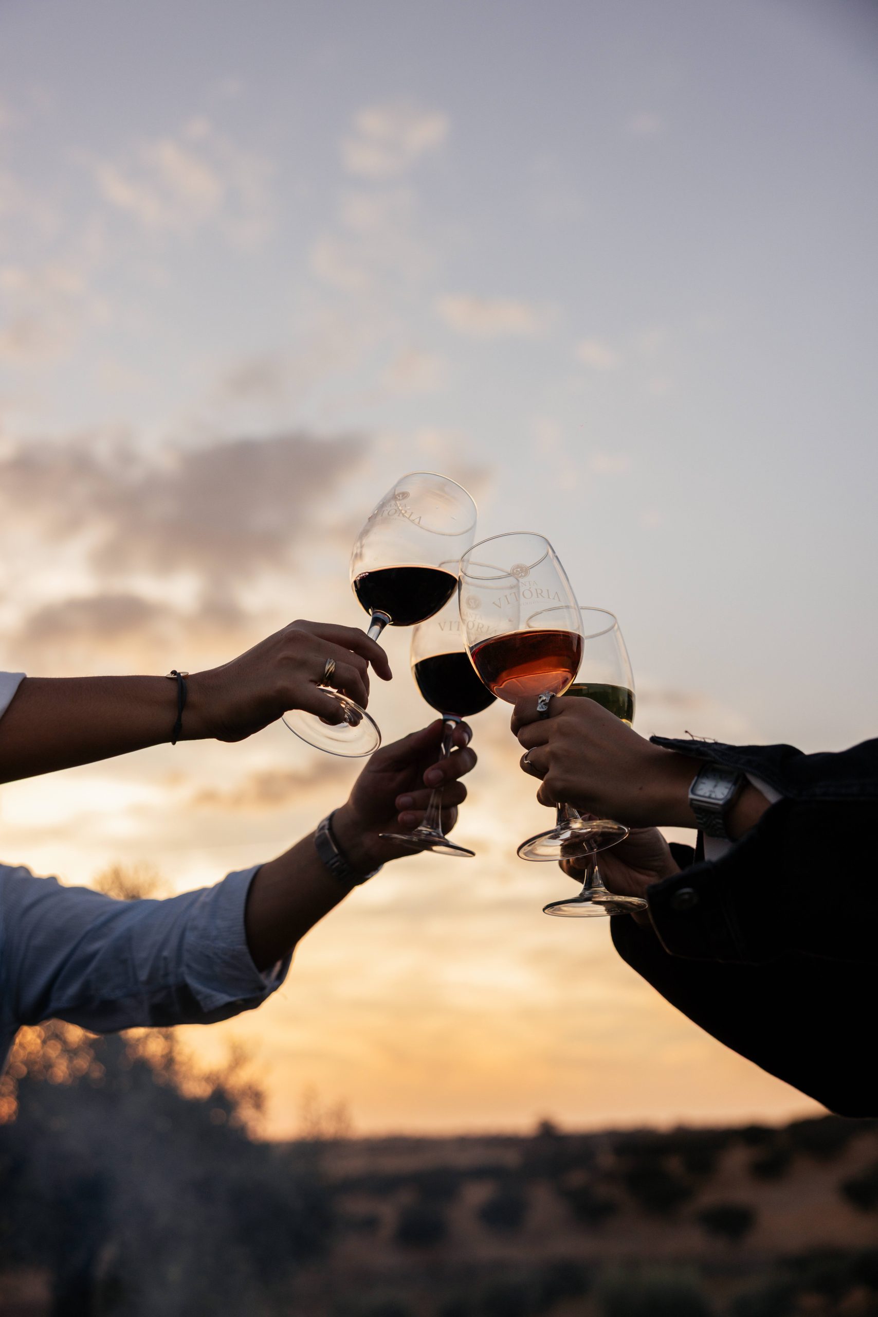 Vinhos